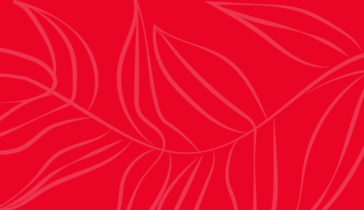 Domingo de Ramos: por que se usa o vermelho neste dia? Domingo de Ramos: por que se usa o vermelho neste dia?