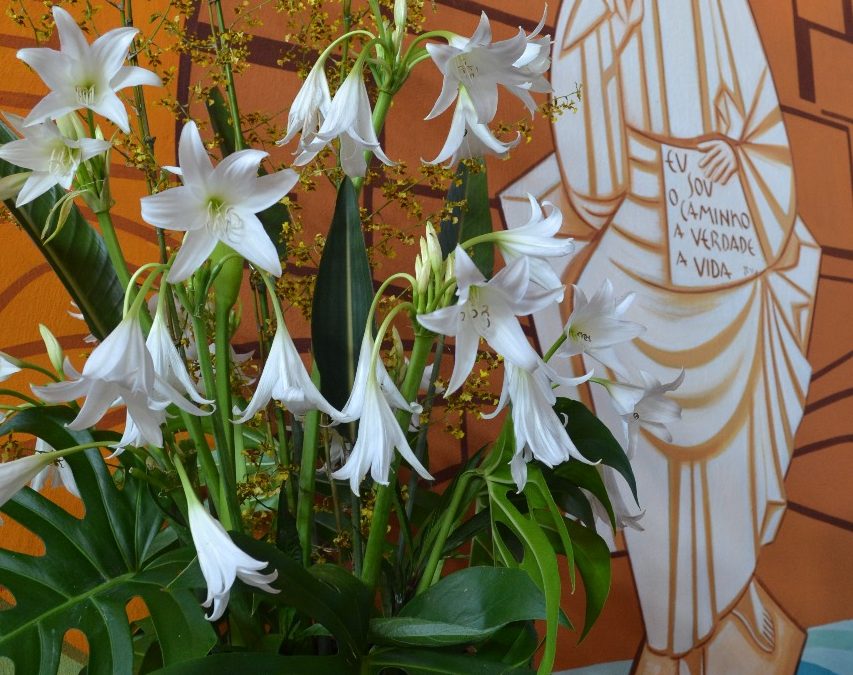 ARTE FLORAL LITÚRGICA: BELEZA E ESPIRITUALIDADE NA DECORAÇÃO DAS IGREJAS